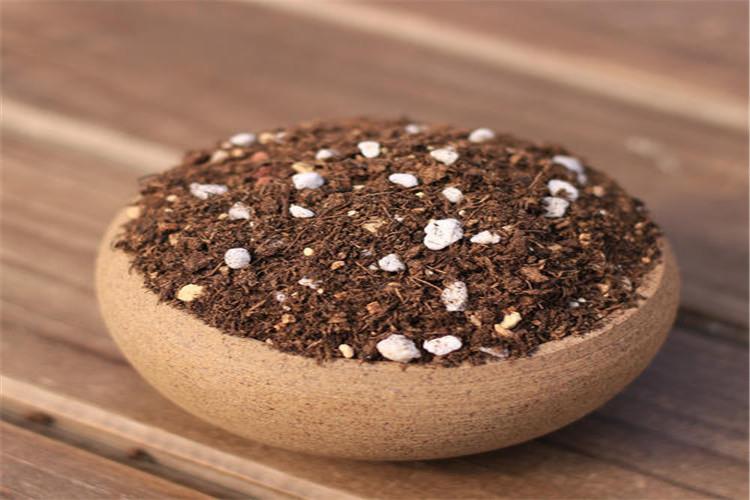 稻殼灰用來改良秧苗、園藝、果樹和菜園的土壤都具有很大優(yōu)越性。稻田所需要的15種微量元素