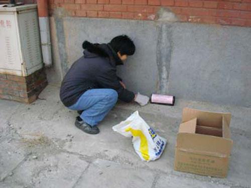 滅老鼠