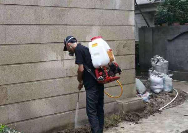 滅白蟻