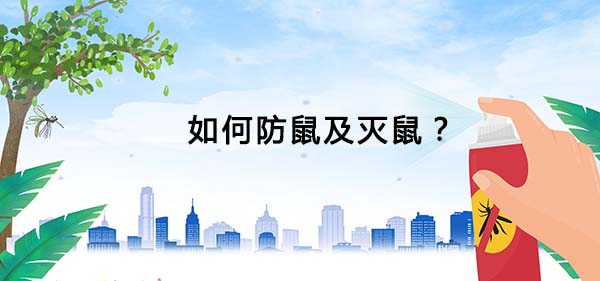 滅老鼠 滅老鼠